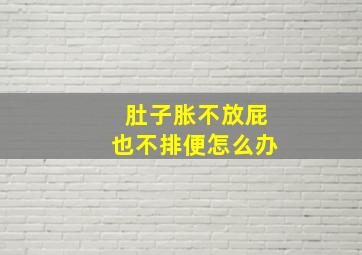 肚子胀不放屁也不排便怎么办