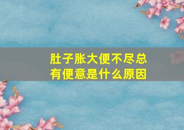 肚子胀大便不尽总有便意是什么原因