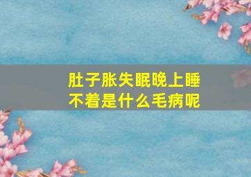 肚子胀失眠晚上睡不着是什么毛病呢