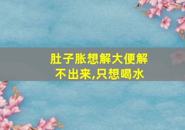 肚子胀想解大便解不出来,只想喝水