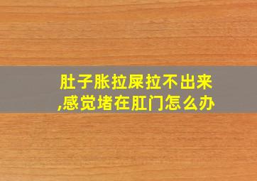 肚子胀拉屎拉不出来,感觉堵在肛门怎么办