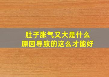 肚子胀气又大是什么原因导致的这么才能好