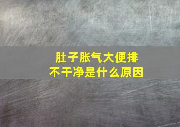 肚子胀气大便排不干净是什么原因