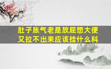 肚子胀气老是放屁想大便又拉不出来应该挂什么科