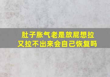 肚子胀气老是放屁想拉又拉不出来会自己恢复吗