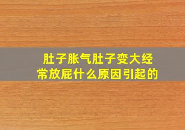 肚子胀气肚子变大经常放屁什么原因引起的