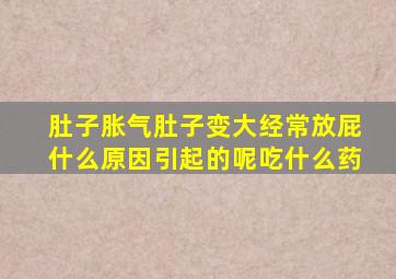 肚子胀气肚子变大经常放屁什么原因引起的呢吃什么药