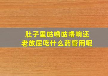 肚子里咕噜咕噜响还老放屁吃什么药管用呢