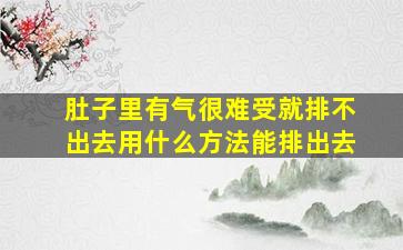 肚子里有气很难受就排不出去用什么方法能排出去