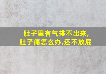 肚子里有气排不出来,肚子痛怎么办,还不放屁