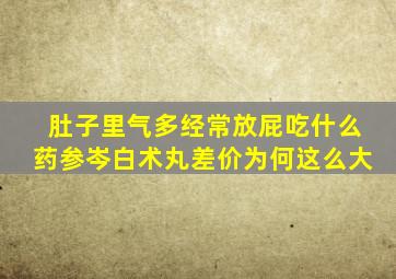 肚子里气多经常放屁吃什么药参岑白术丸差价为何这么大