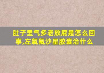 肚子里气多老放屁是怎么回事,左氧氟沙星胶囊治什么