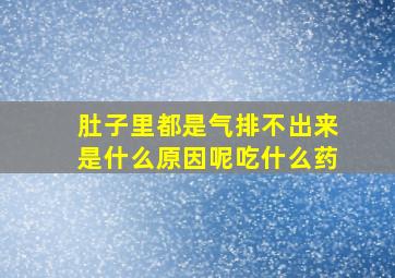 肚子里都是气排不出来是什么原因呢吃什么药