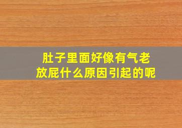 肚子里面好像有气老放屁什么原因引起的呢