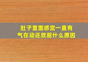 肚子里面感觉一直有气在动还放屁什么原因