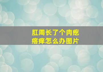 肛周长了个肉疙瘩痒怎么办图片