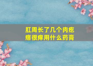 肛周长了几个肉疙瘩很痒用什么药膏