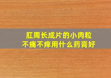 肛周长成片的小肉粒不痛不痒用什么药膏好