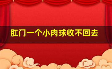 肛门一个小肉球收不回去