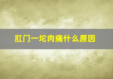 肛门一坨肉痛什么原因