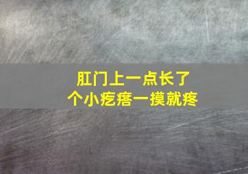 肛门上一点长了个小疙瘩一摸就疼