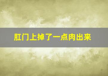 肛门上掉了一点肉出来