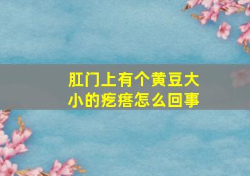 肛门上有个黄豆大小的疙瘩怎么回事