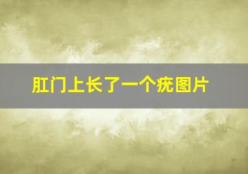 肛门上长了一个疣图片