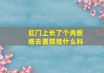 肛门上长了个肉疙瘩去医院挂什么科