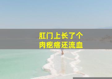 肛门上长了个肉疙瘩还流血