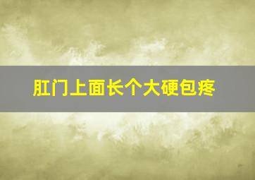 肛门上面长个大硬包疼