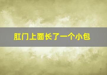 肛门上面长了一个小包