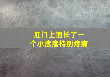 肛门上面长了一个小疙瘩特别疼痛