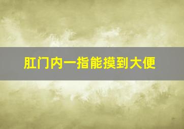 肛门内一指能摸到大便