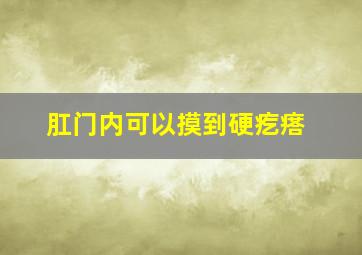 肛门内可以摸到硬疙瘩