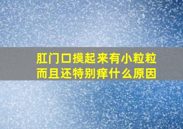 肛门口摸起来有小粒粒而且还特别痒什么原因