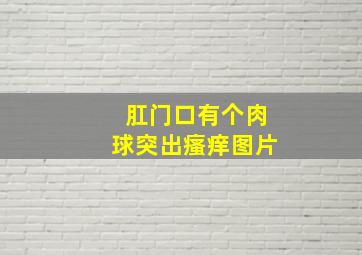 肛门口有个肉球突出瘙痒图片