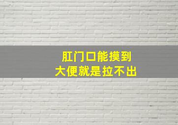 肛门口能摸到大便就是拉不出