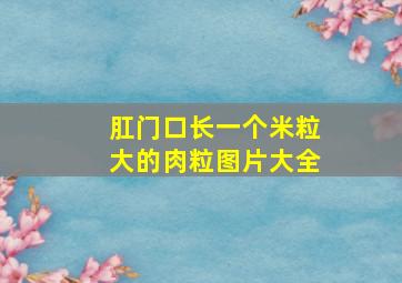 肛门口长一个米粒大的肉粒图片大全