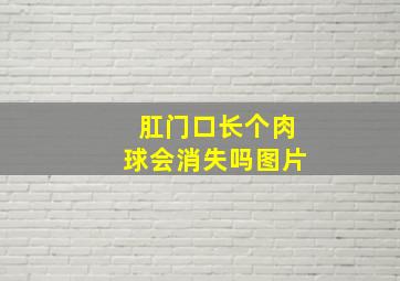 肛门口长个肉球会消失吗图片