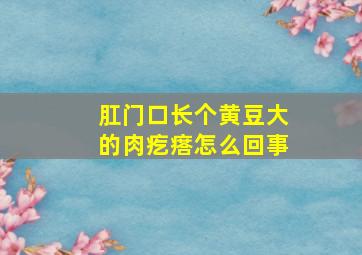 肛门口长个黄豆大的肉疙瘩怎么回事