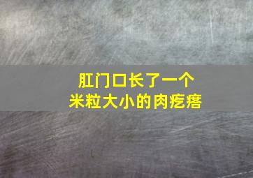 肛门口长了一个米粒大小的肉疙瘩