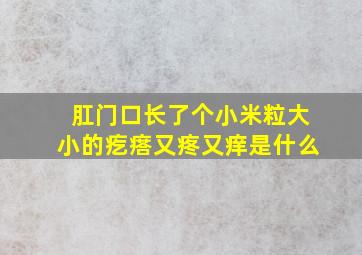 肛门口长了个小米粒大小的疙瘩又疼又痒是什么