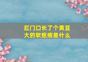 肛门口长了个黄豆大的软疙瘩是什么