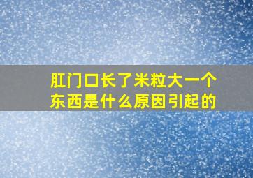 肛门口长了米粒大一个东西是什么原因引起的