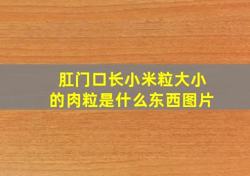 肛门口长小米粒大小的肉粒是什么东西图片