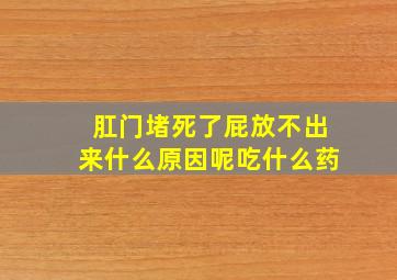 肛门堵死了屁放不出来什么原因呢吃什么药