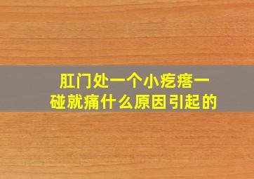 肛门处一个小疙瘩一碰就痛什么原因引起的