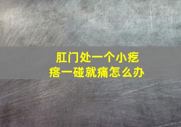 肛门处一个小疙瘩一碰就痛怎么办