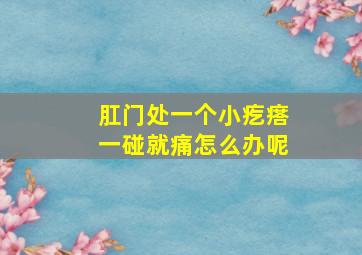 肛门处一个小疙瘩一碰就痛怎么办呢